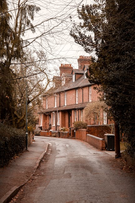 A quiet residential street with a narrow paved road leading to a row of traditional brick terraced houses, some with small front gardens and low brick walls. Tall, leafless trees and dense shrubbery line both sides of the street, with branches extending overhead. A black wheelie bin is positioned near the sidewalk in front of one house. The scene appears to be captured during late autumn or winter, with overcast lighting creating a subdued atmosphere. This setting reflects a typical environment where house removals and furniture transport could take place, with the street providing access for removal vans and moving equipment as part of a home relocation process. The image is relevant to house removals services, such as those offered by Man With a Van Dartford, highlighting the residential context for packing, loading, and transporting belongings.